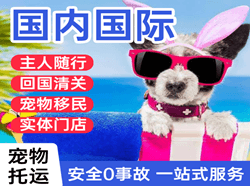 鞍山腾鳌机场快运国际宠物托运 【国